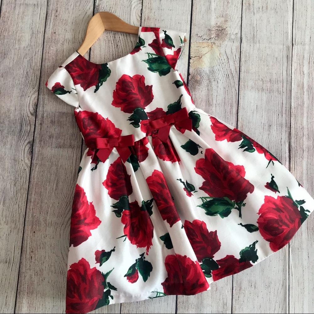 Children’s Place Girls Dress Size 3T